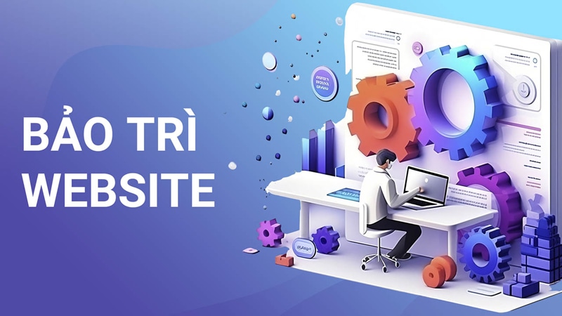 Bảo trì website là gì? Vai trò và quy trình bảo trì chuẩn chỉnh