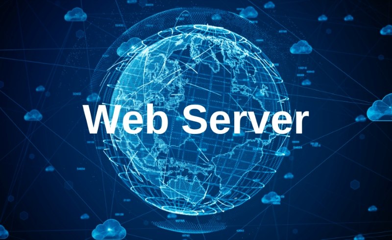 Web server là gì? Chức năng và các loại web server phổ biến